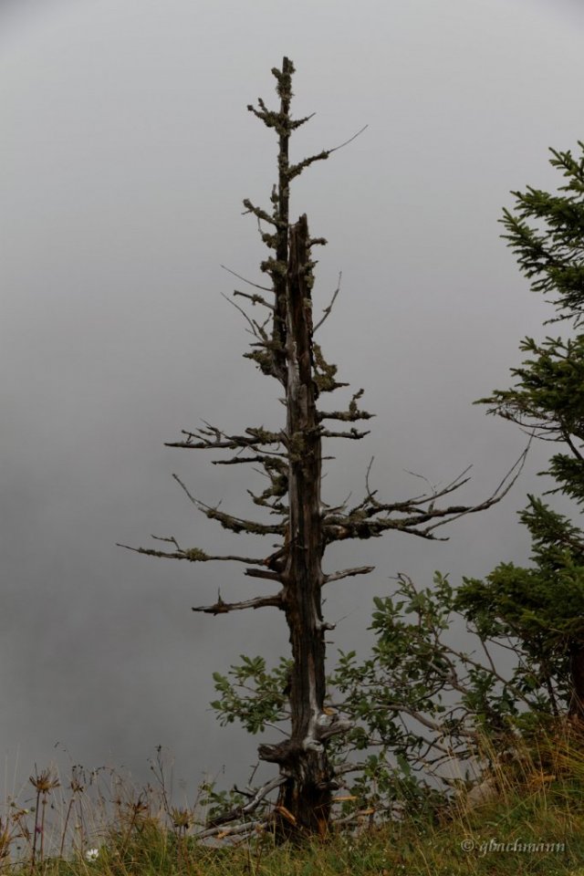 20140826_0207